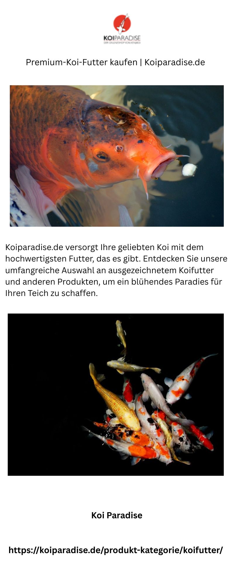 Premium-Koi-Futter kaufen | Koiparadise.de