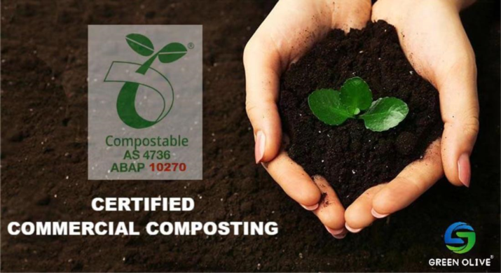 From waste to wonder: The magic of Bagasse products