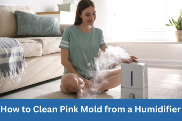 How To Clean Pink Mold From A Humidifier