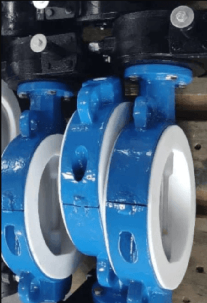 Wafer butterfly valve supplier in Mexico