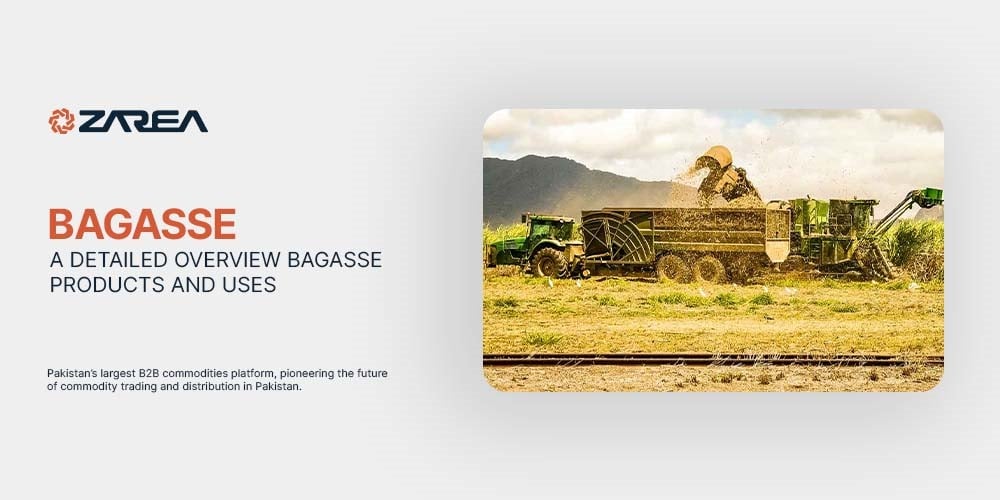 Bagasse – A Detailed Overview | Bagasse Products and Uses