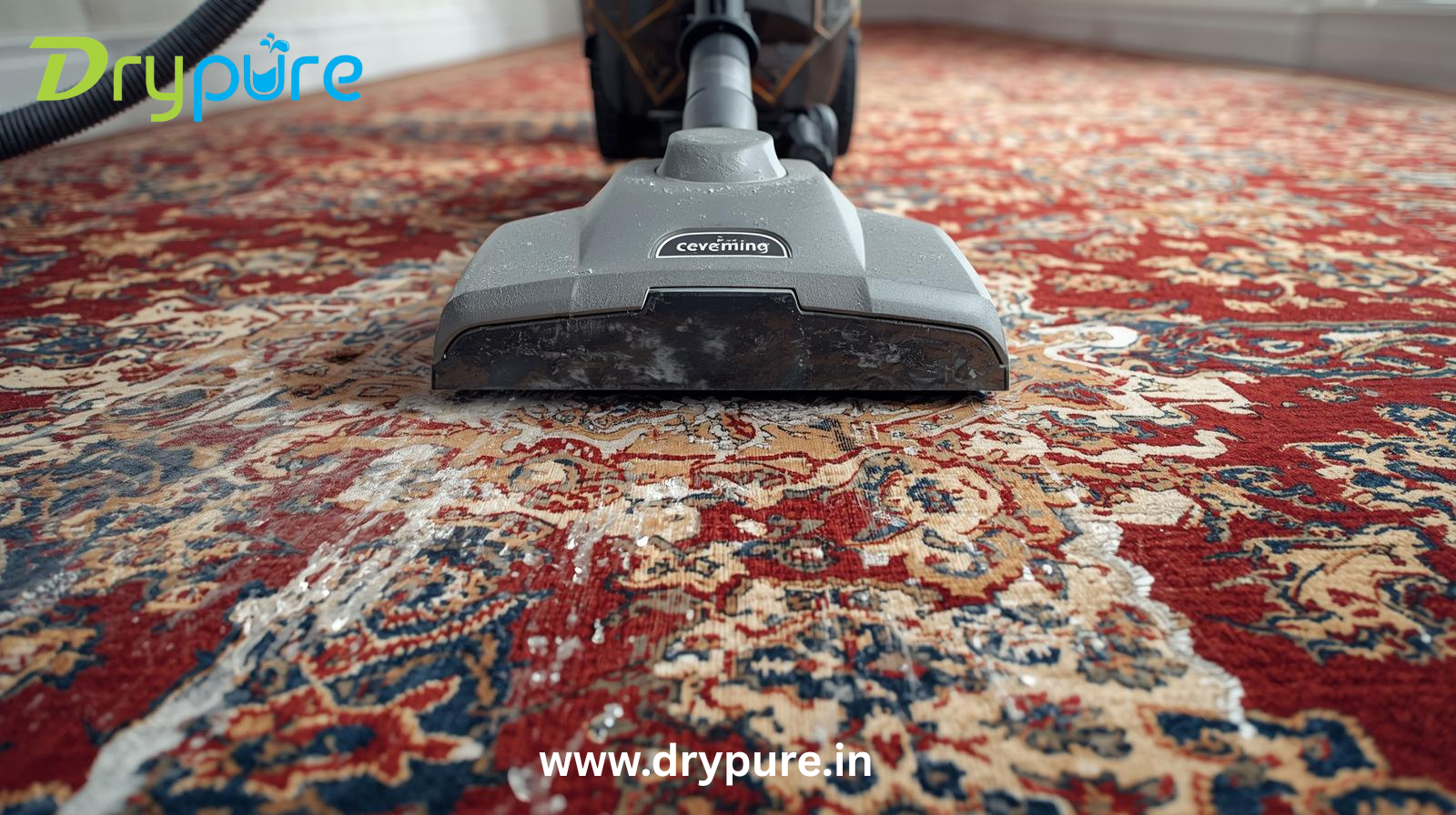 Carpet Cleaning Services Nearby Noida & Delhi-NCR | Drypure