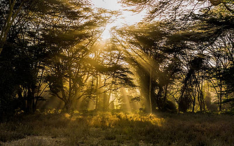 Top 10 Things to Do in Nairobi on Your Kenya Tour