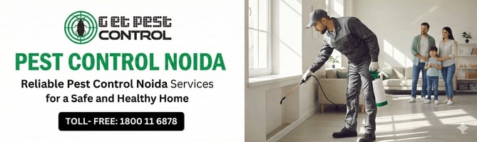 Reliable Pest Control Noida Services for a Safe and healthy