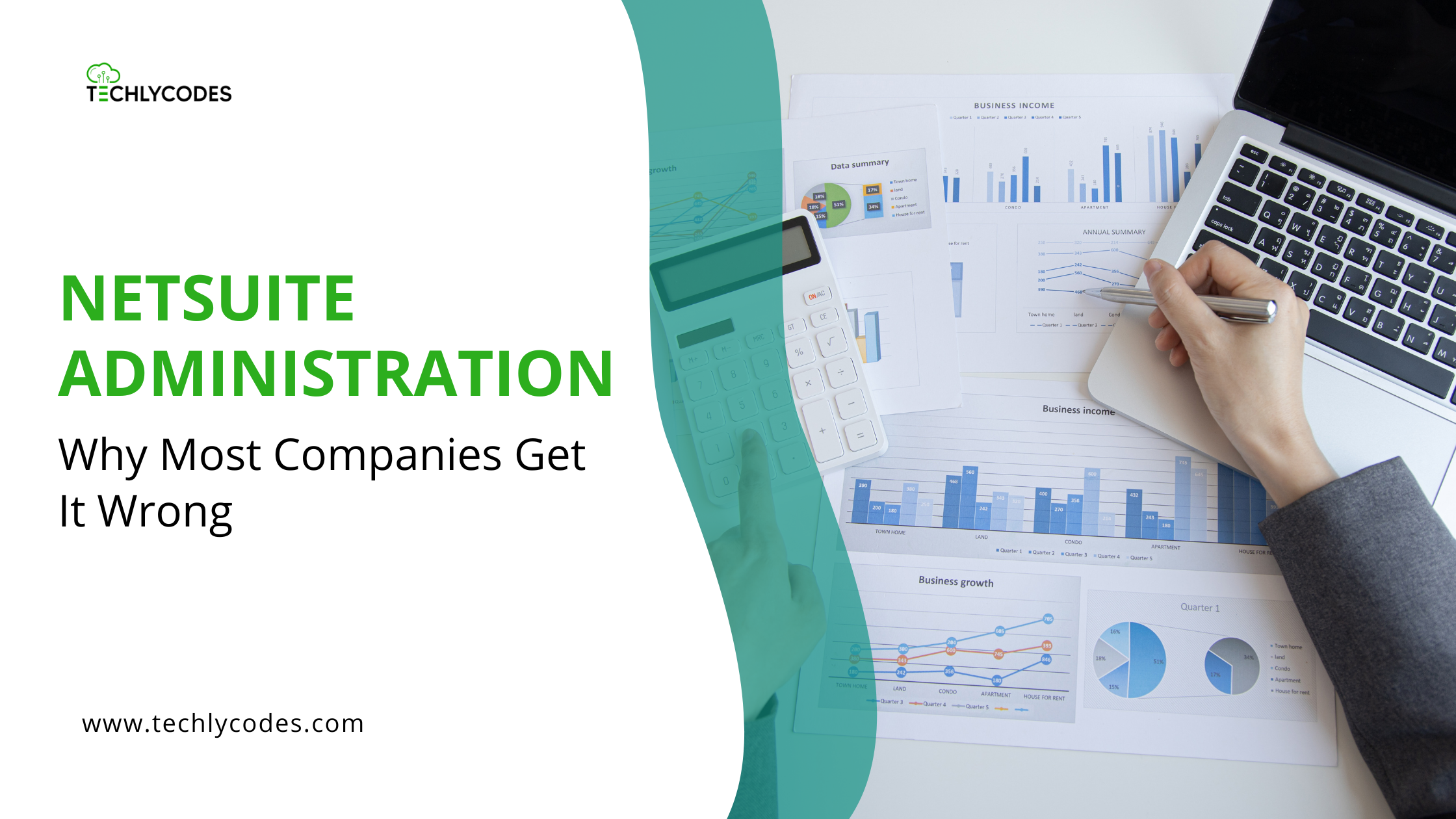 NetSuite Administration Services