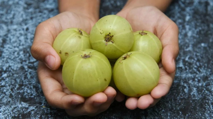 What Happens When You Eat Amla Every Day?