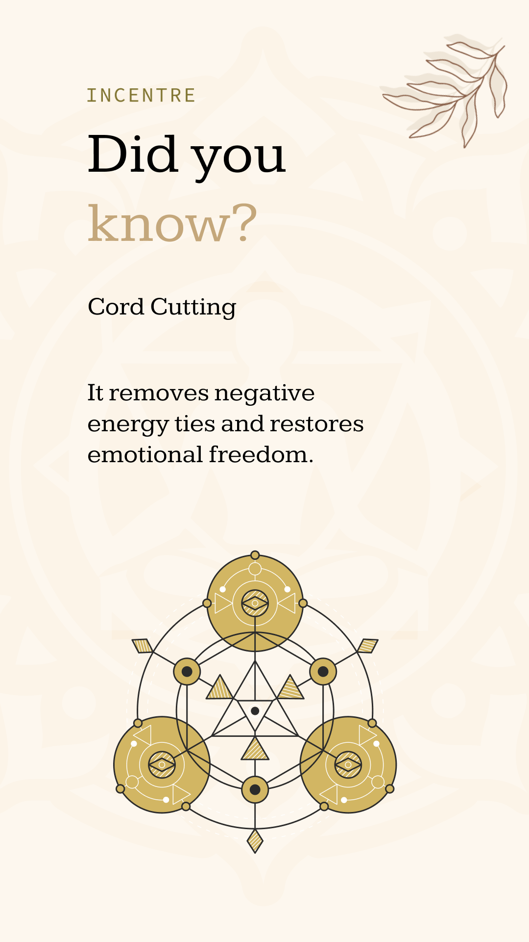 Transform Your Mind Body and Spirit with  Energy Healing