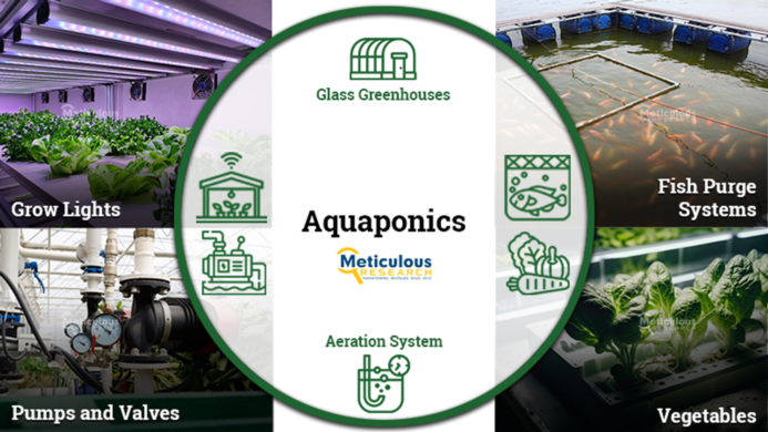Meticulous Research Unveils Lucrative Growth Trajectory for Aquaponics Market, Projecting USD 2.36 B