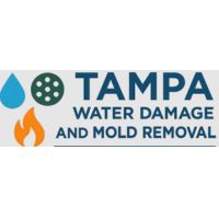 Tampa Water Damage and Mold Removal