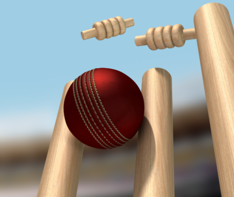 Unlocking the World of Online Cricket: Exploring India's Top Online Cricket ID Providers