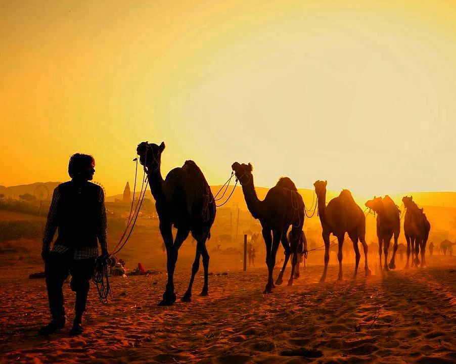 A Real Taste of Rajasthan’s Desert Life – By Tejofy