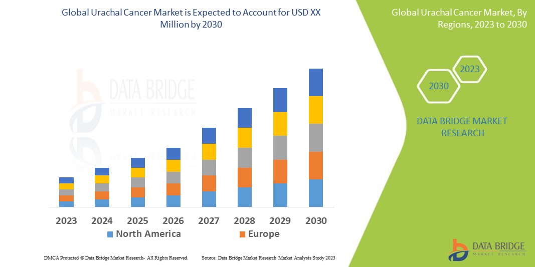 Urachal Cancer Market: Opportunities and Forecast 2024–2030