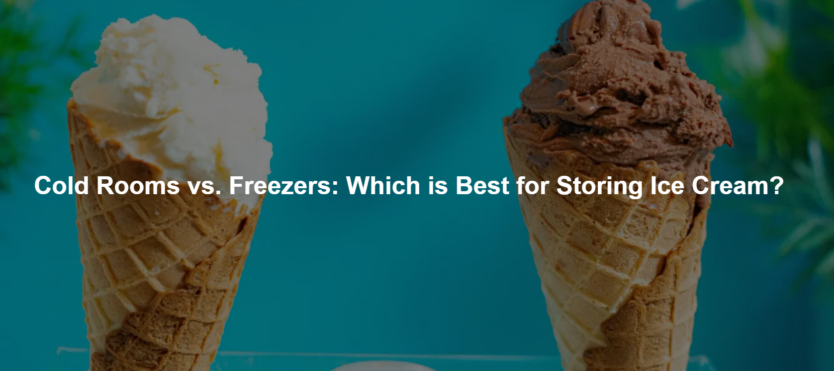 Cold Rooms vs. Freezers: Which is Best for Storing Ice Cream