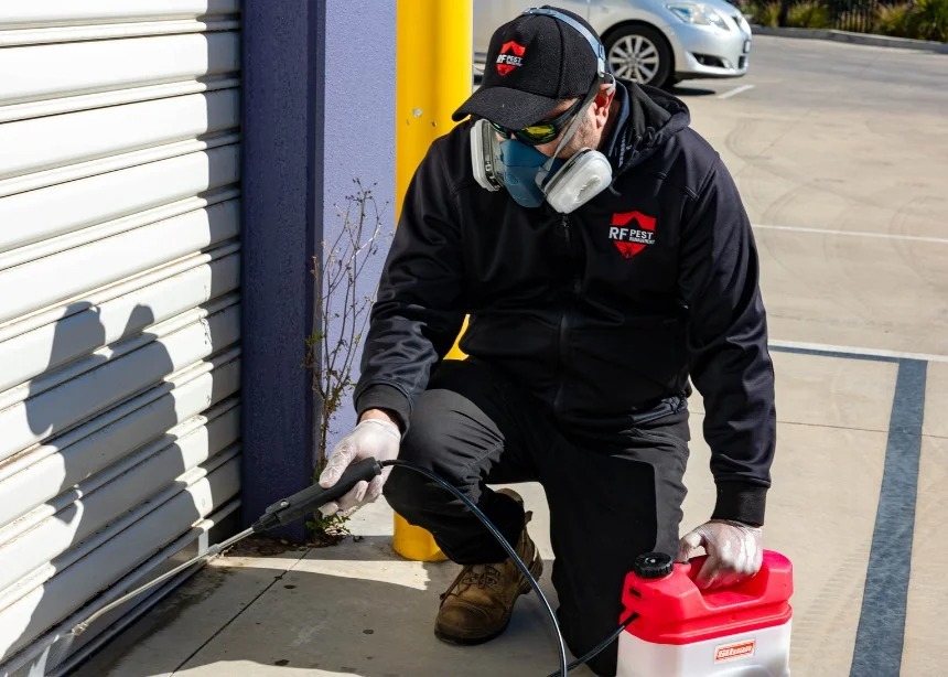 Comprehensive Bed Bugs Control in Melbourne. 