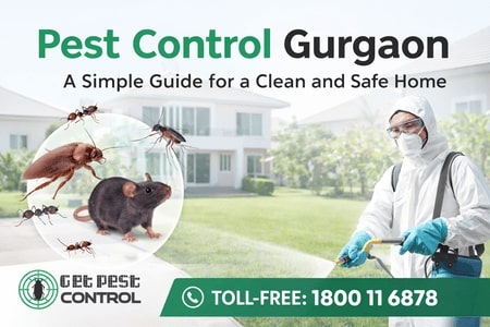 Pest Control Gurgaon – A Simple Guide for a Clean 