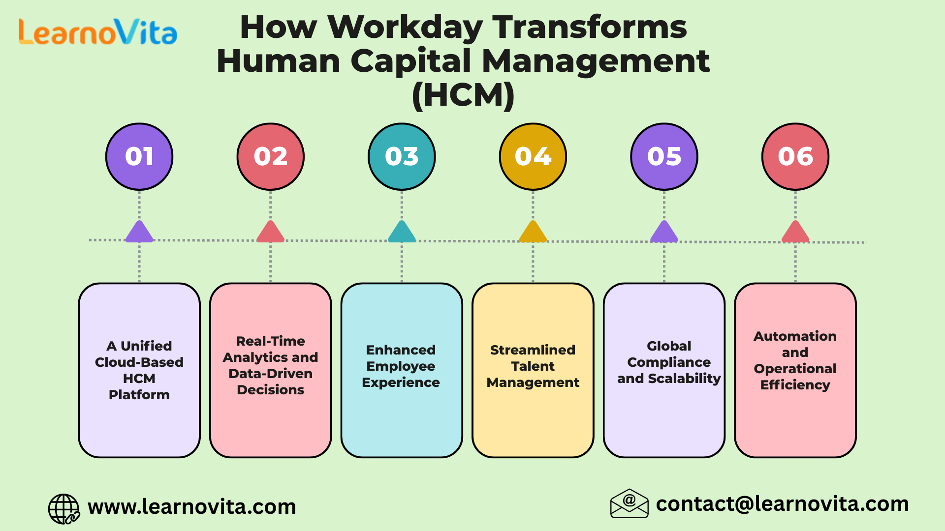 How Workday Transforms Human Capital Management (HCM)