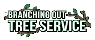 Tree Service & Removal Suffolk County