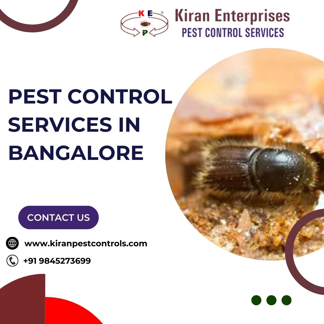 Pest Control Services in Bangalore Safe and Effective 