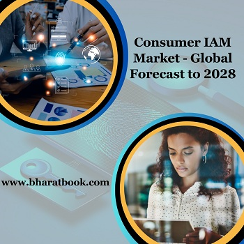  Global Consumer IAM Market, Forecast 2028