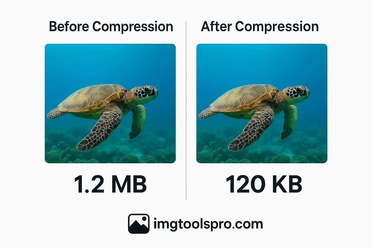 Convert Image to JPG