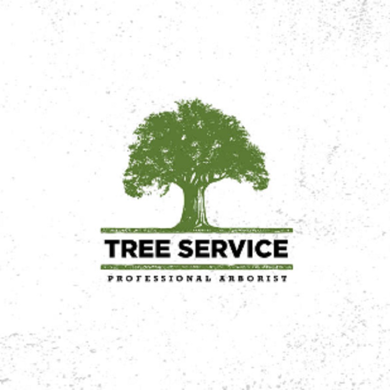 Top Line Pro Construction