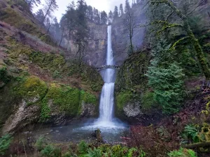 Cascading Beauty and Culinary Delights with Oregon