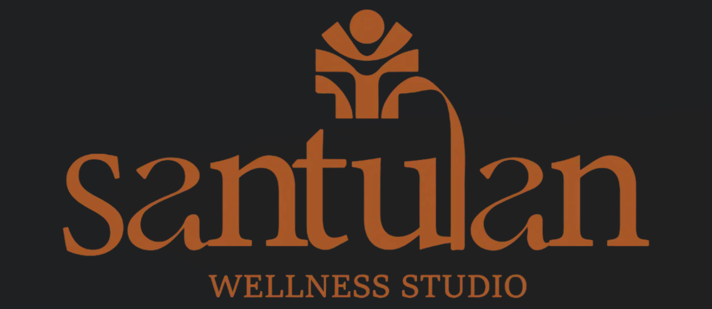 Santulan Pilates Reformer