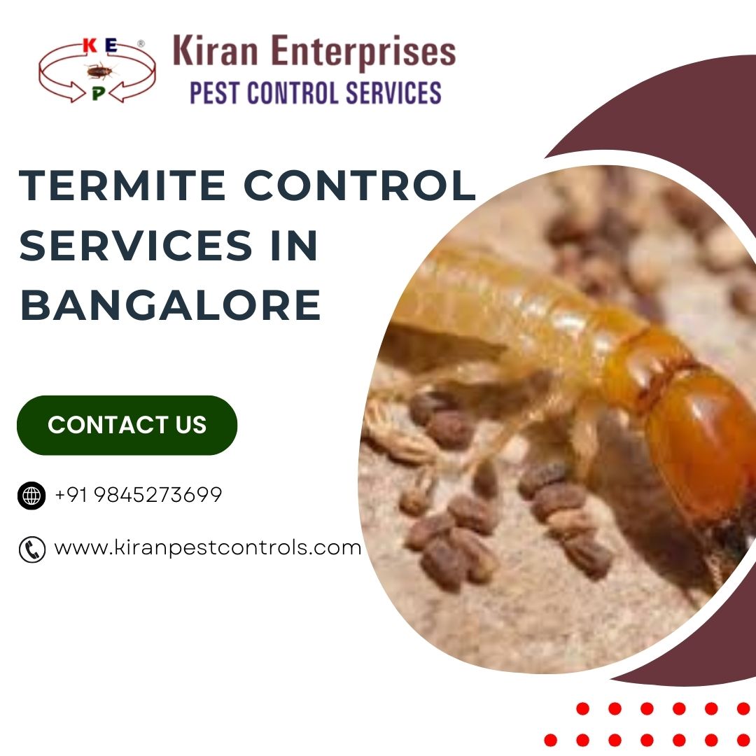 Termite Control Services in Bangalore Safe 