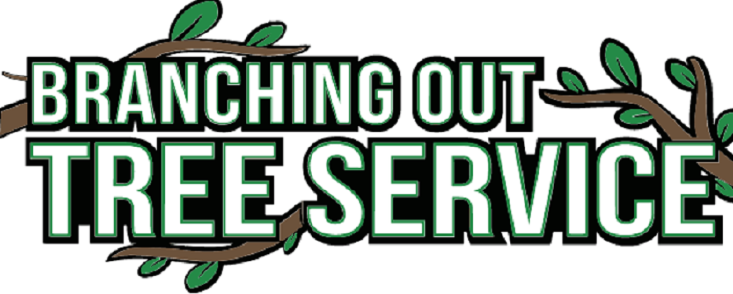 Tree Service & Removal Mineola