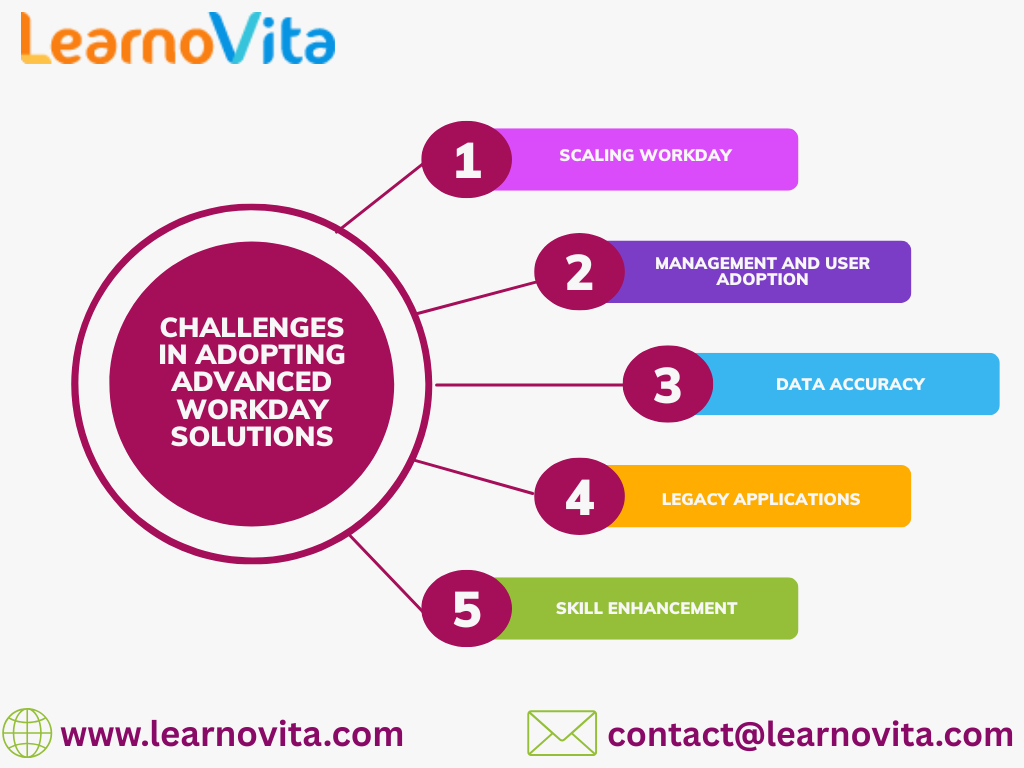 Bright Scope of Workday Expertise