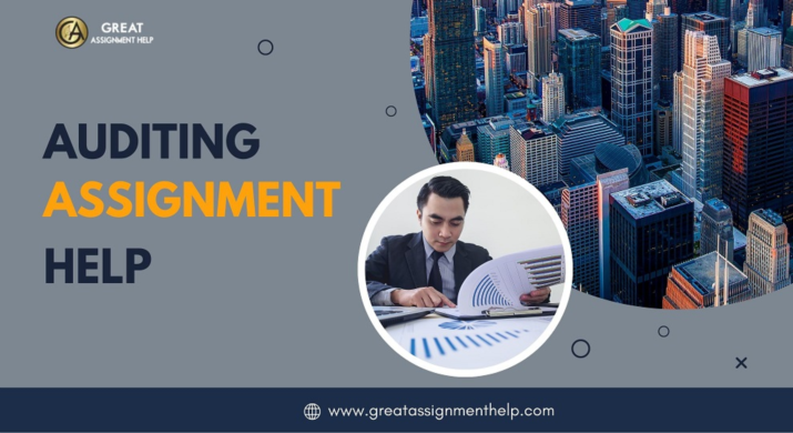  Best Auditing Assignment Help in USA 