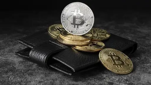 What does a crypto wallet development company do?