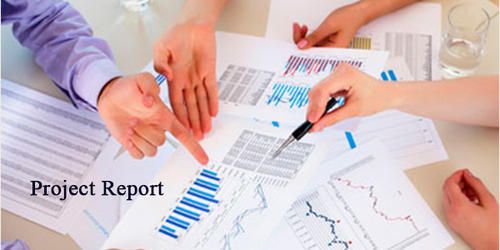  How to Create a Bank Loan Project Report for Your Startup