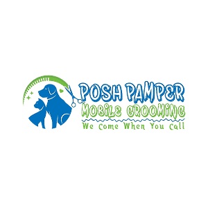 Safe Cat Nail Trimming Service | Poshpamper.ae