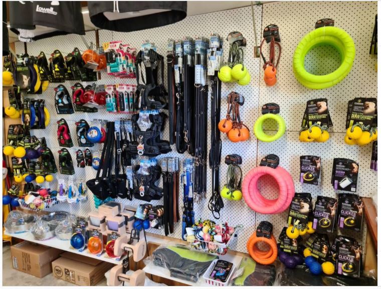 Best Dog Training Equipment in Australia Guide