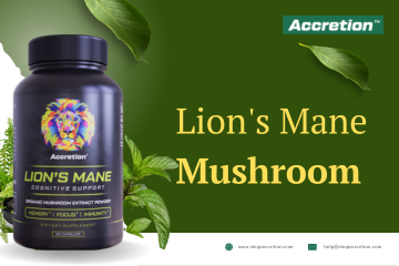 Benefits Of Daily Lion's Mane Mushroom Extract In Everyday Life
