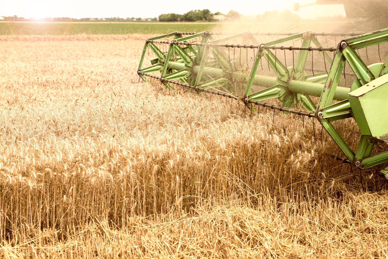 Productivity with AI Powered Grain Processing Machine