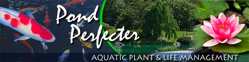 Best Pond Perfecter