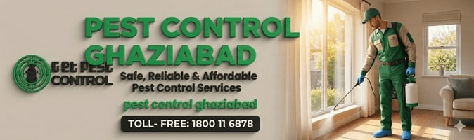 Pest Control Ghaziabad – Safe, Reliable 