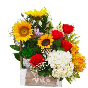 Mejor Florería en Santo Domingo | crisflor.com.do
