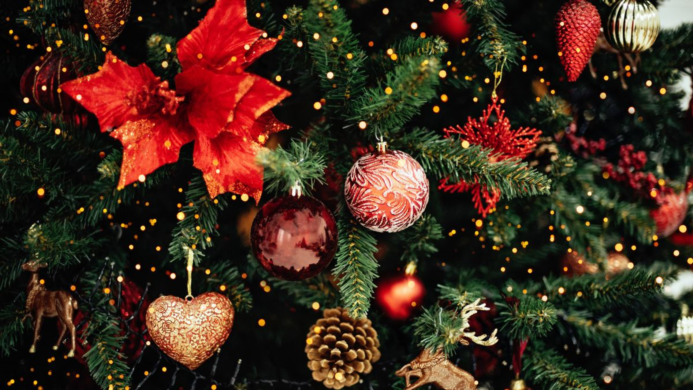 BOOK ESCORTS THIS CHRISTMAS