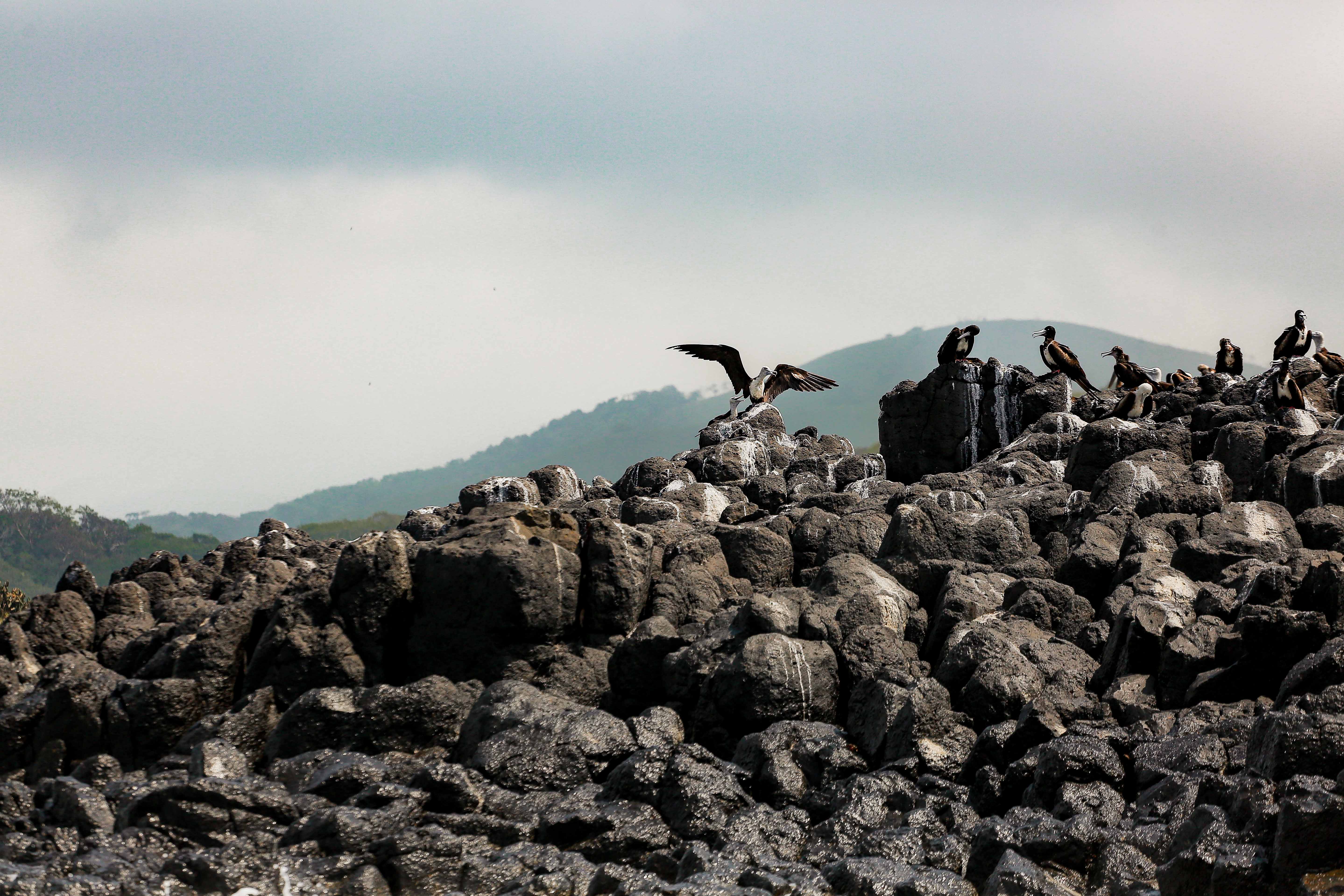 Reconnect with Nature: Unwind and Rejuvenate - Image 8