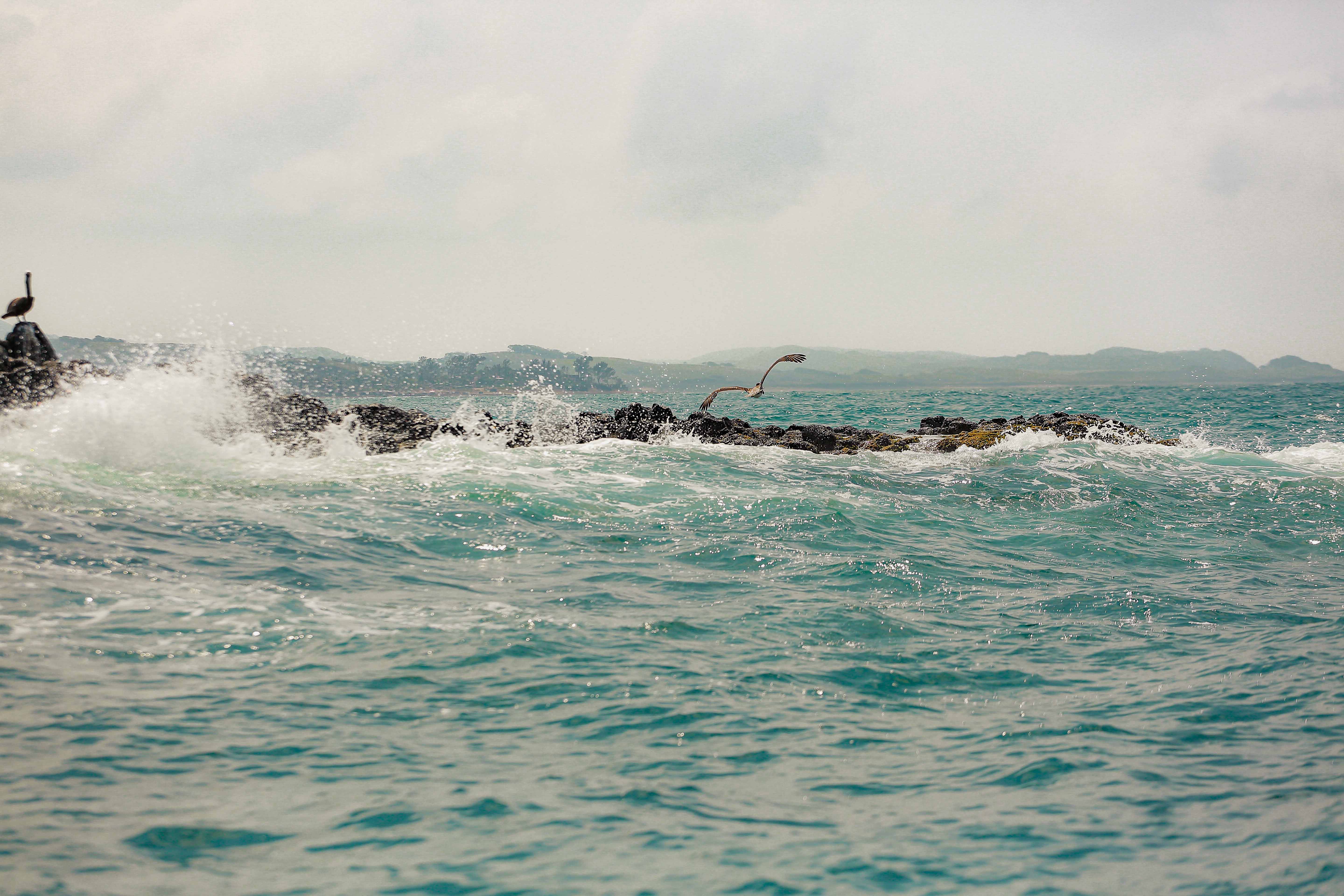 Discover the natural wonders of Veracruz Tuxtla Region