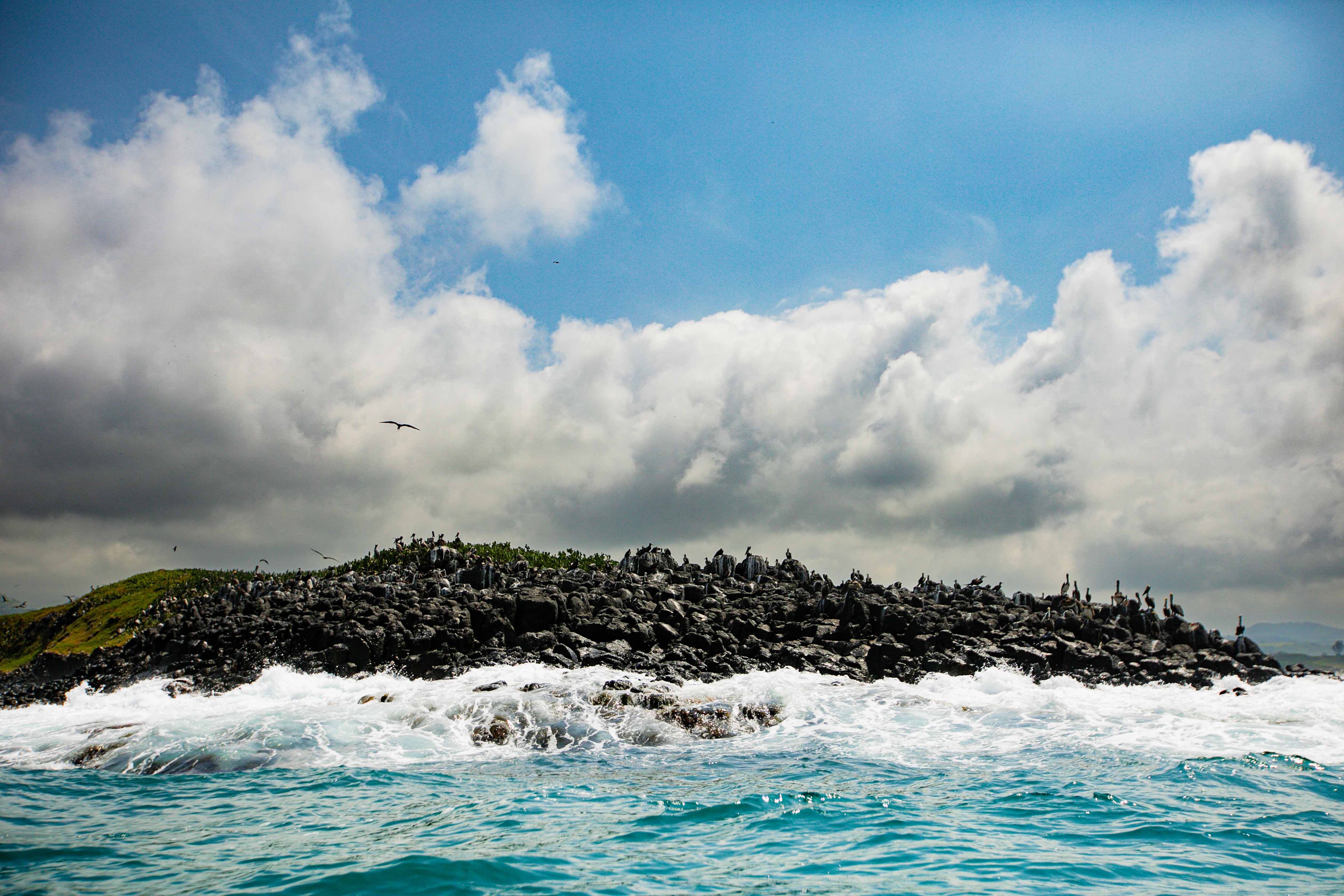 Reconnect with Nature: Unwind and Rejuvenate - Image 1