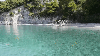 Beach Video