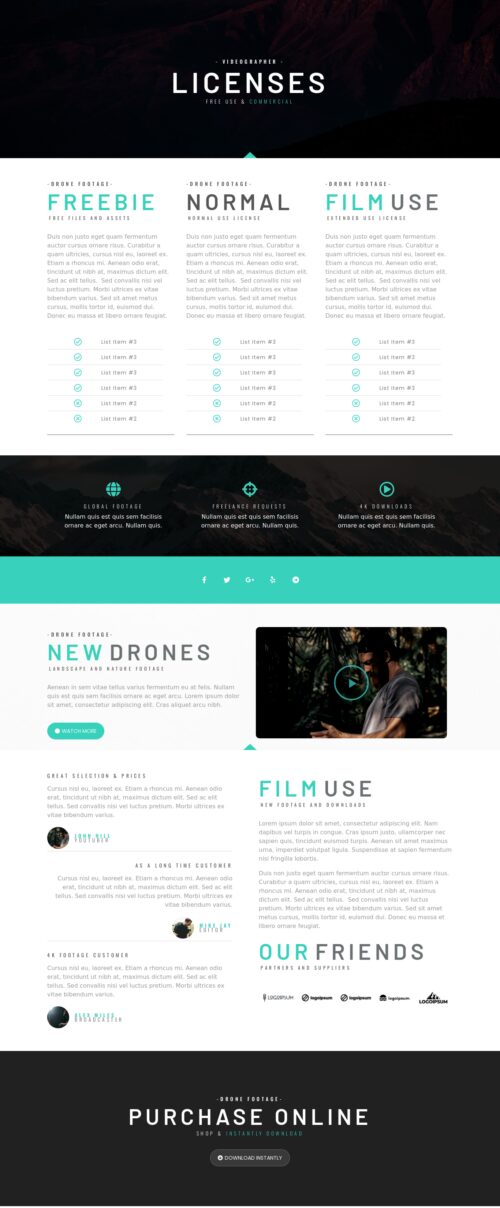 Elementor kit - Videographer - Licenses