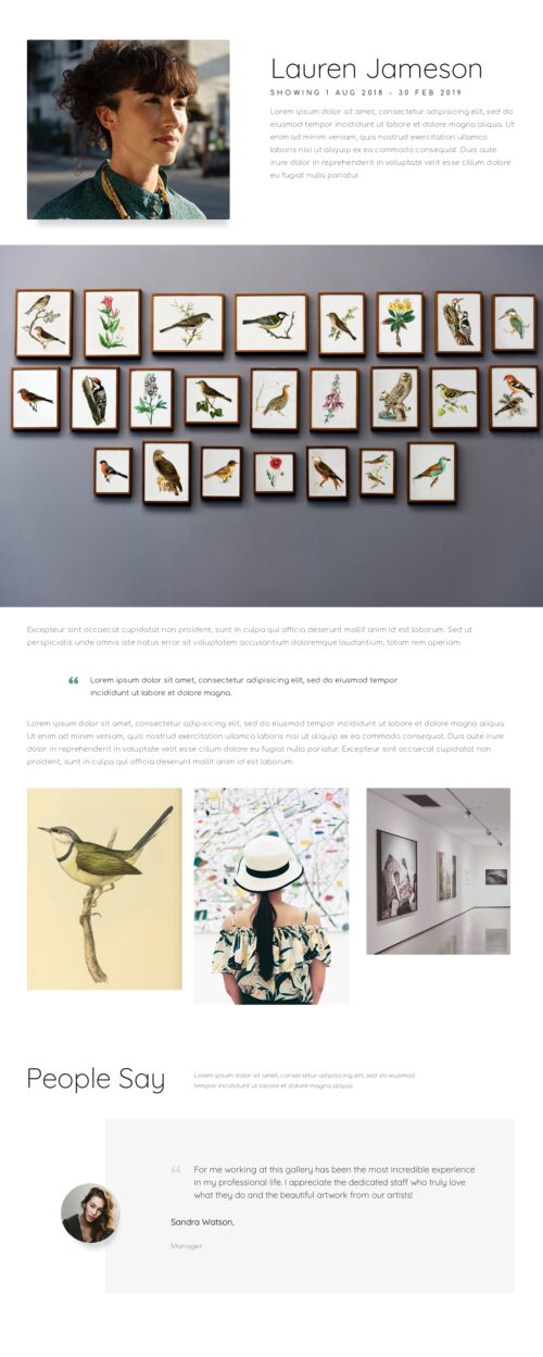 Art Gallery - About author 2