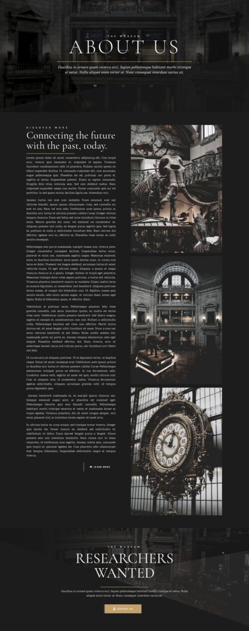 Elementor kit - Museum - About Us