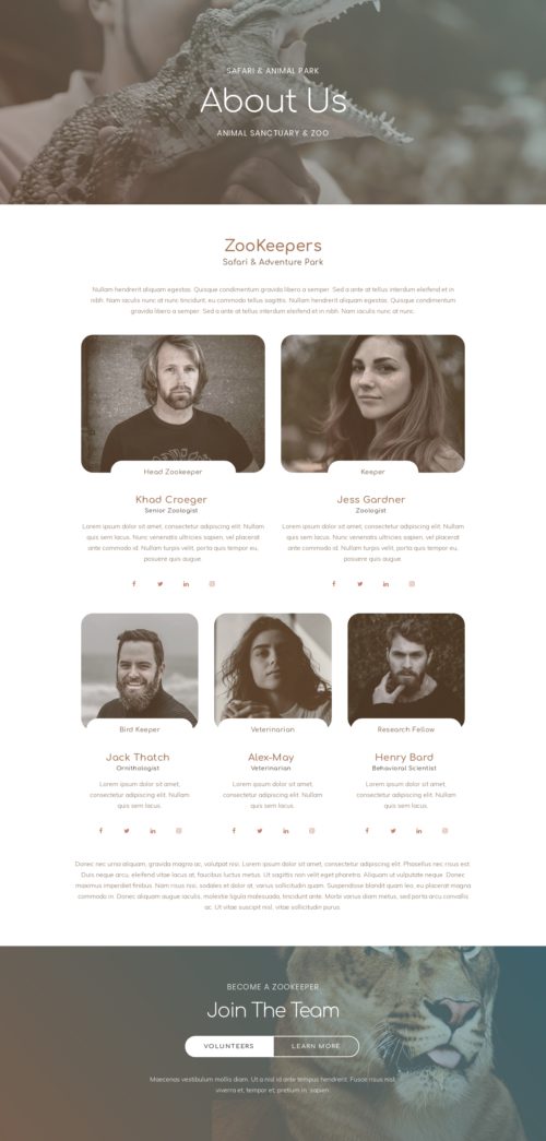 Elementor kit - Zoo - About Us