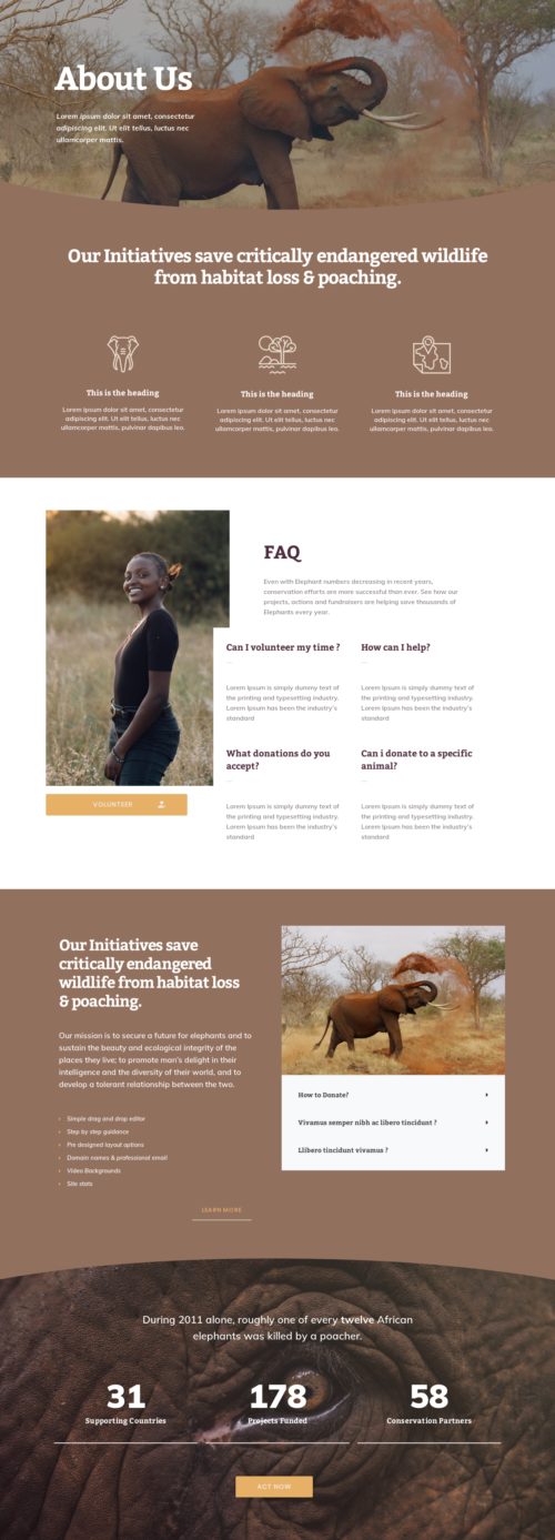 Elementor kit - Wildlife Conservation - About Us